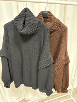 Iconic Chunky Turtle